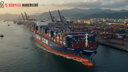 CMA CGM, Borusan'ın Lojistik Kolunu Aldı: 440 Milyon Dolarlık Hamle